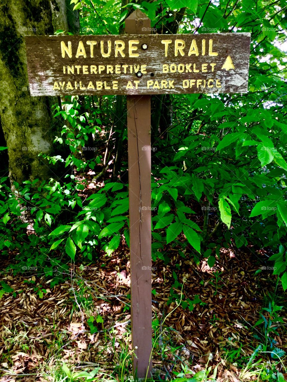 Nature Trail Sign