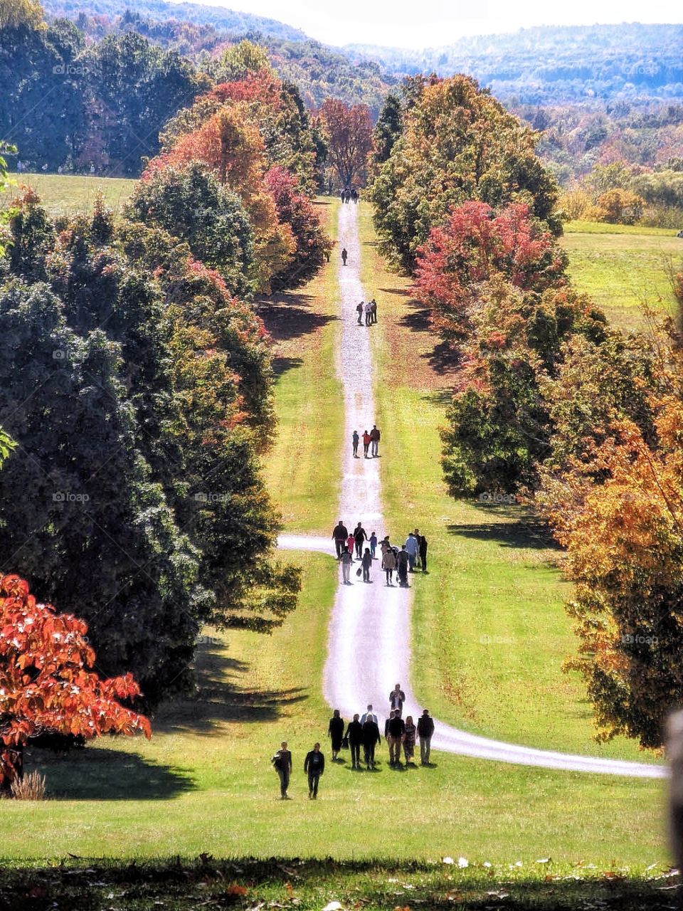 Strolling in the Park