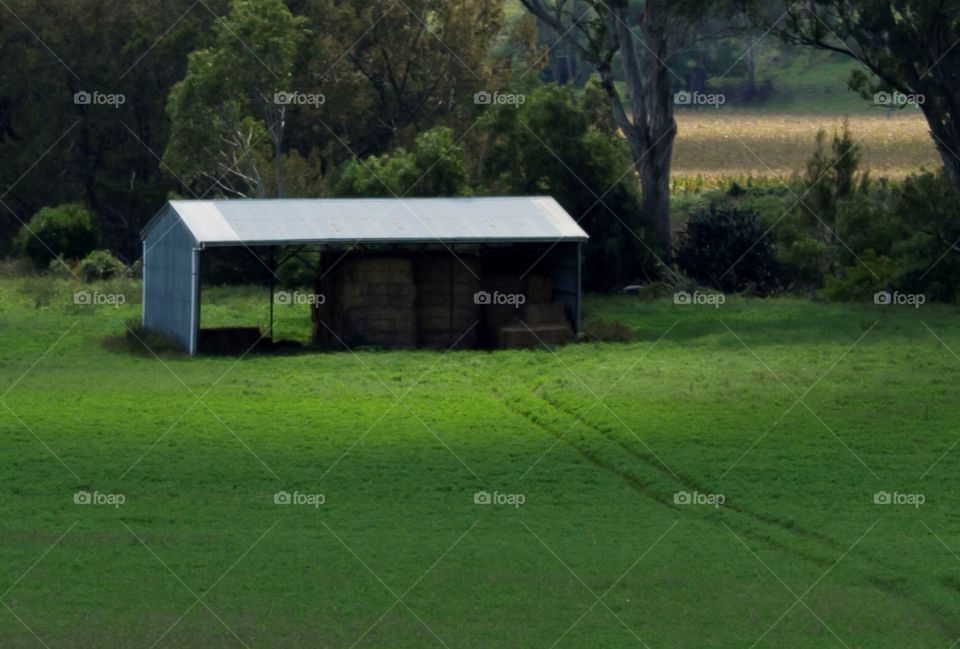 Tracks to Hay Shed