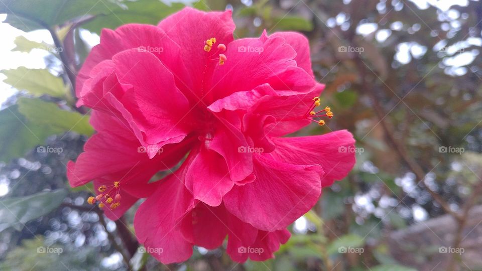 This what I am waiting for Wow!