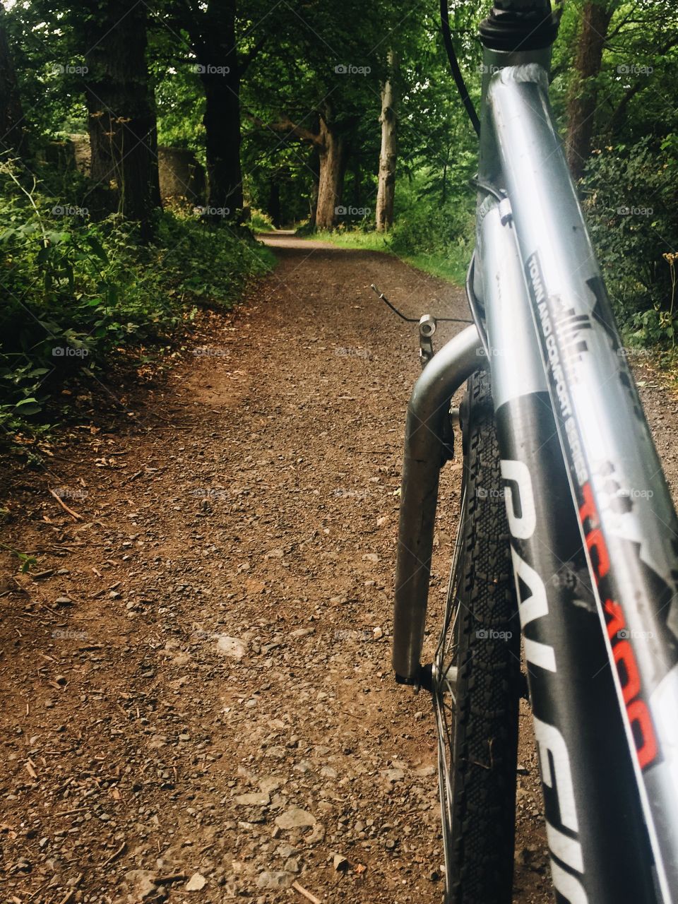 Biking in the park