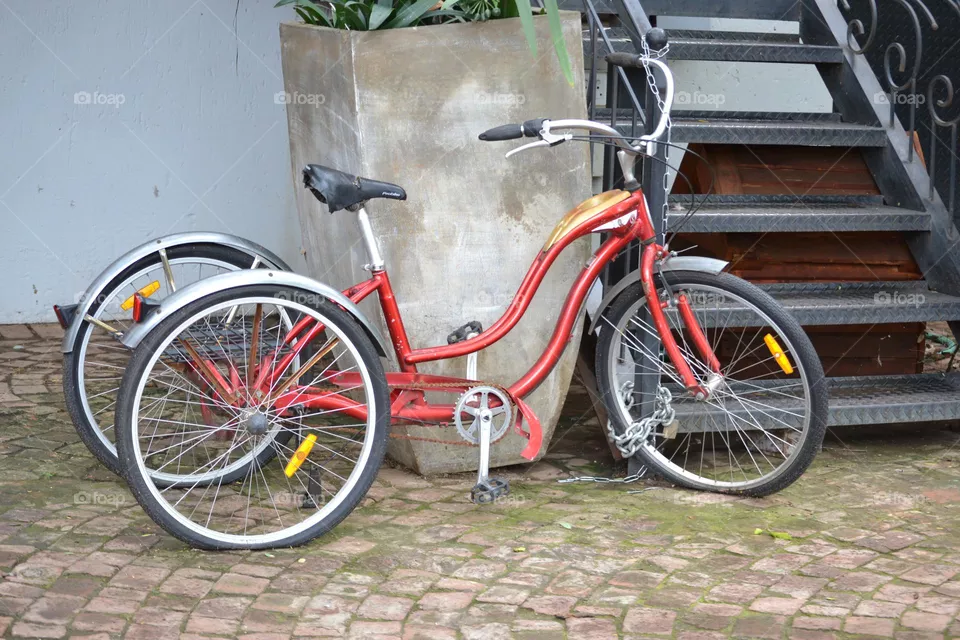 Bicycle