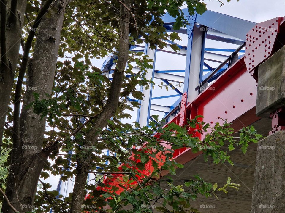 Bridge behind the greenery