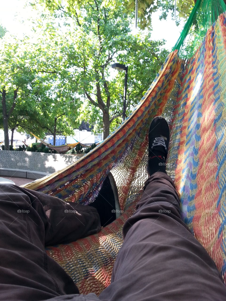 Forty Three. Hammockimg