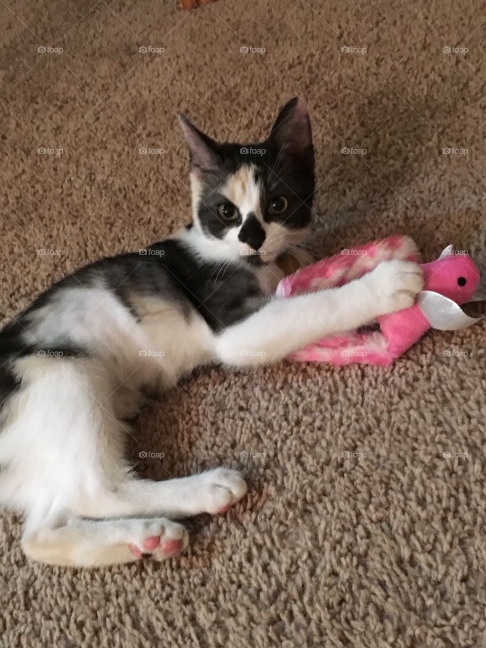 Amelia playing with toy