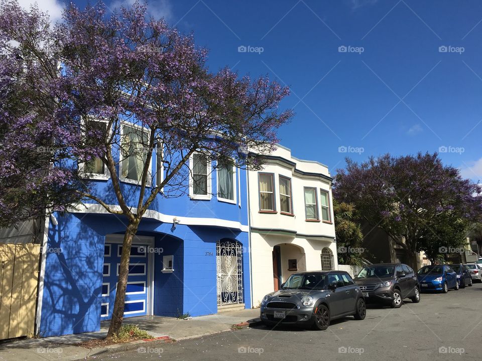 San Francisco Blue House