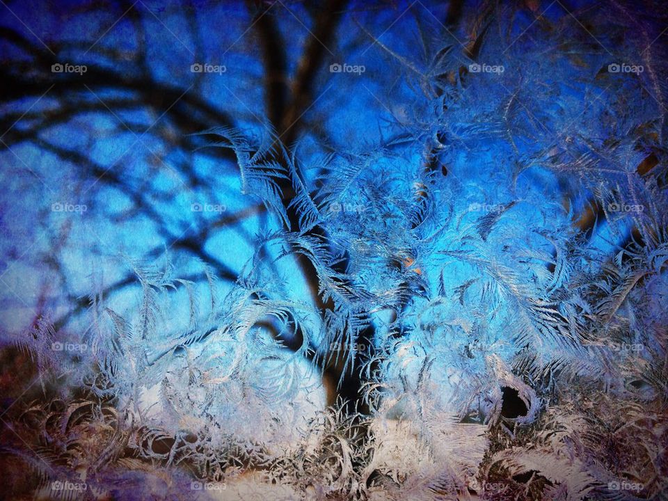 Frosty Window Pane