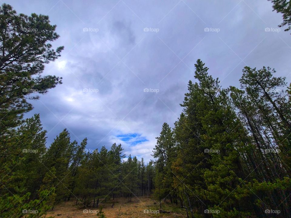 Storm clouds over the green forest in Canada