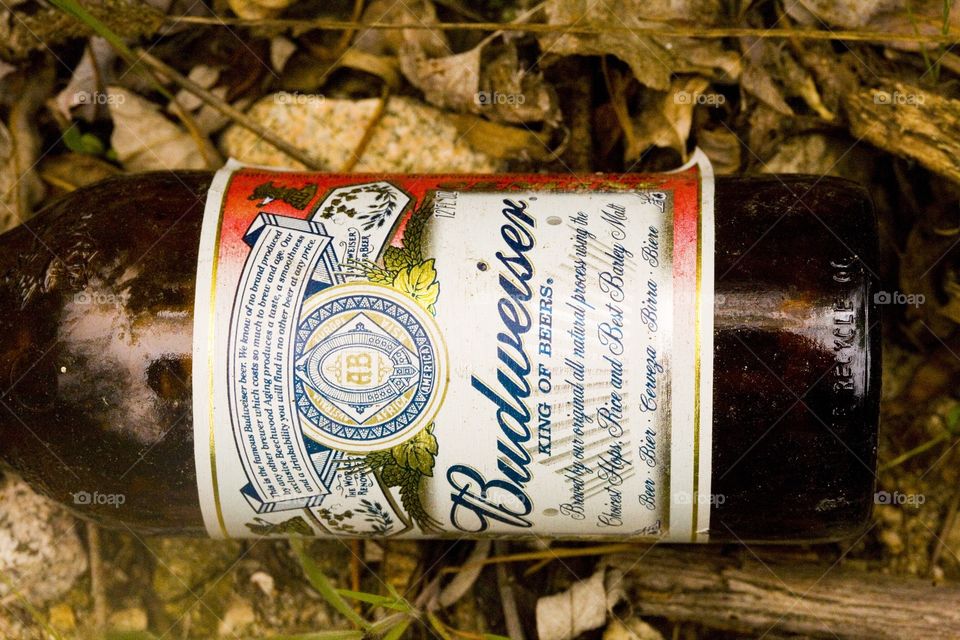 Budweiser 