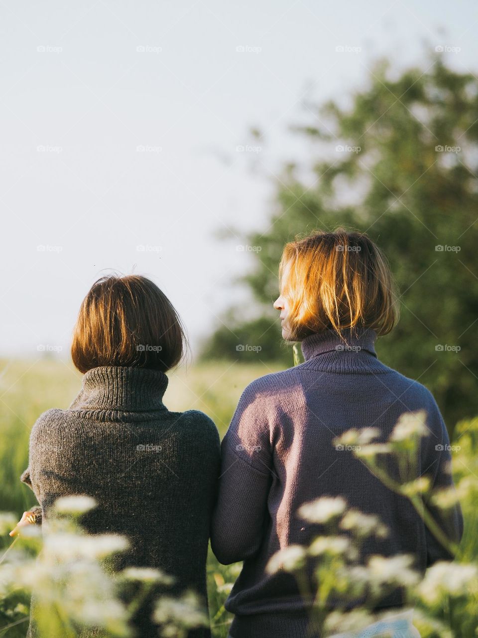 Two young beautiful woman’s standing in field in sunny summer day, portrait of woman, back view 