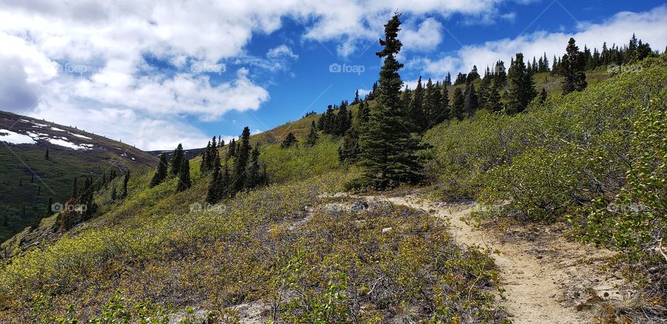 Trials that seem to be endless