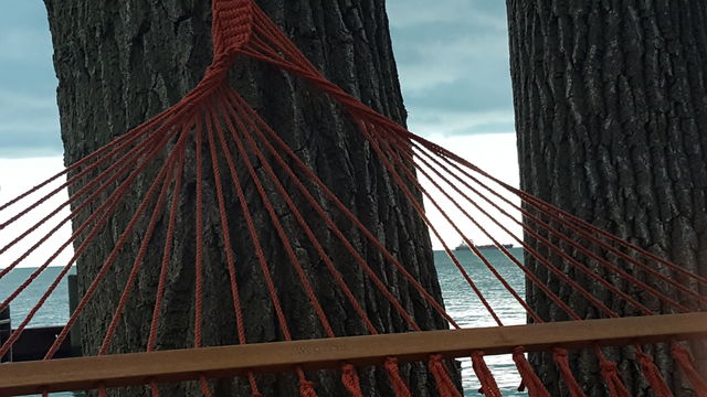 No Person, Architecture, Wood, Building, Construction