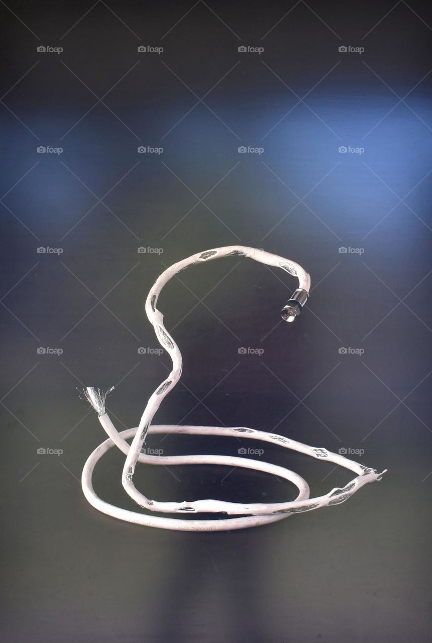 Ecoparque // Galeria de arte reciclado // Palermo . Buenos Aires . Argentina