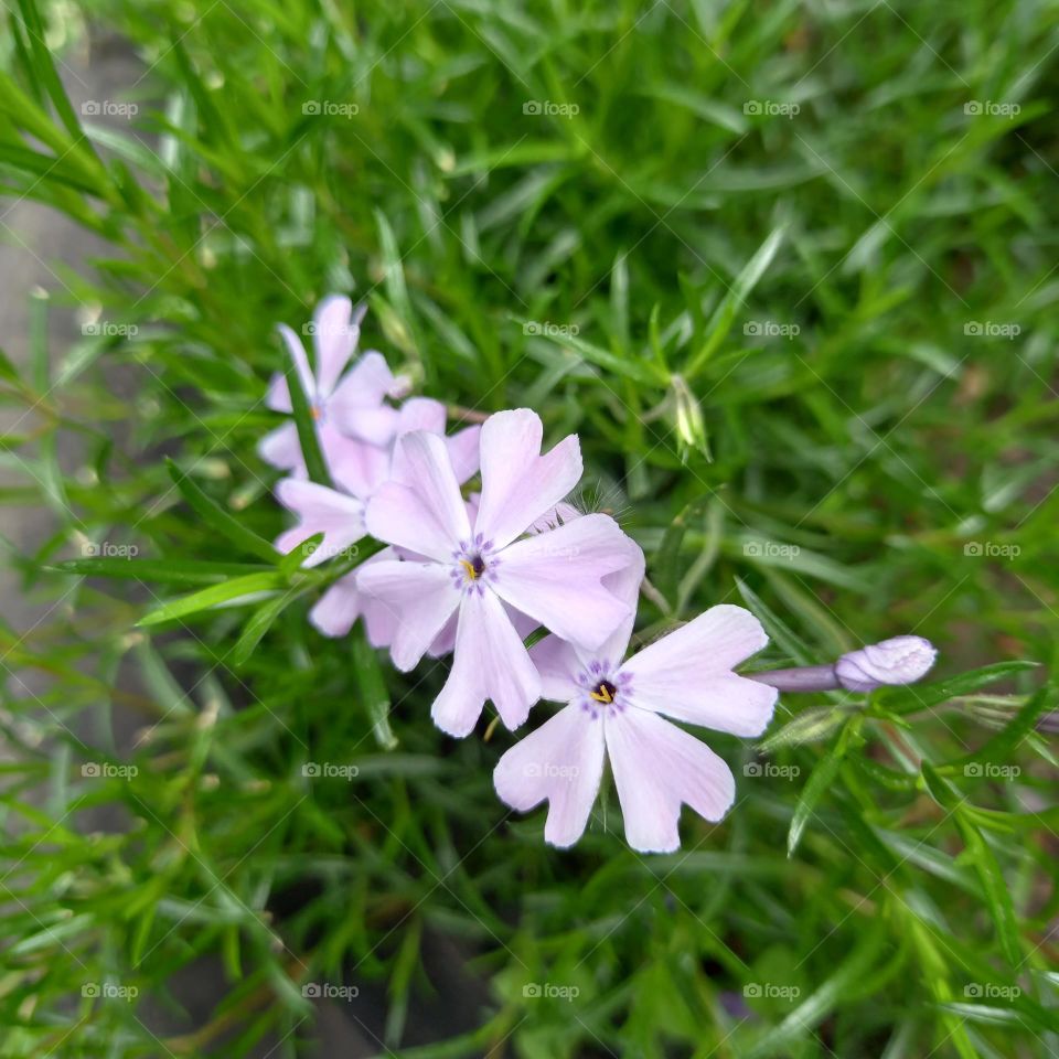 Look! How nice we are!