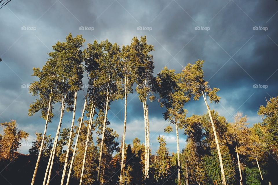 Storm clouds