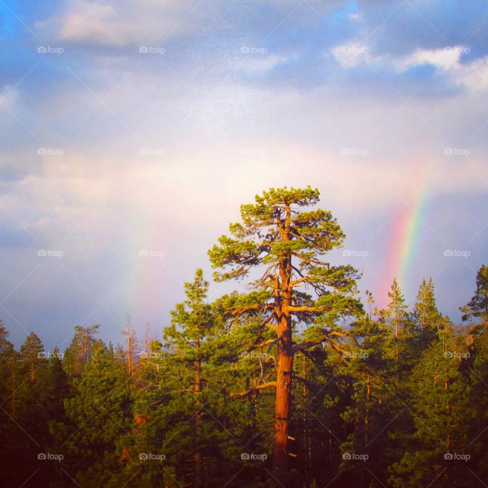 Magic Double Rainbows