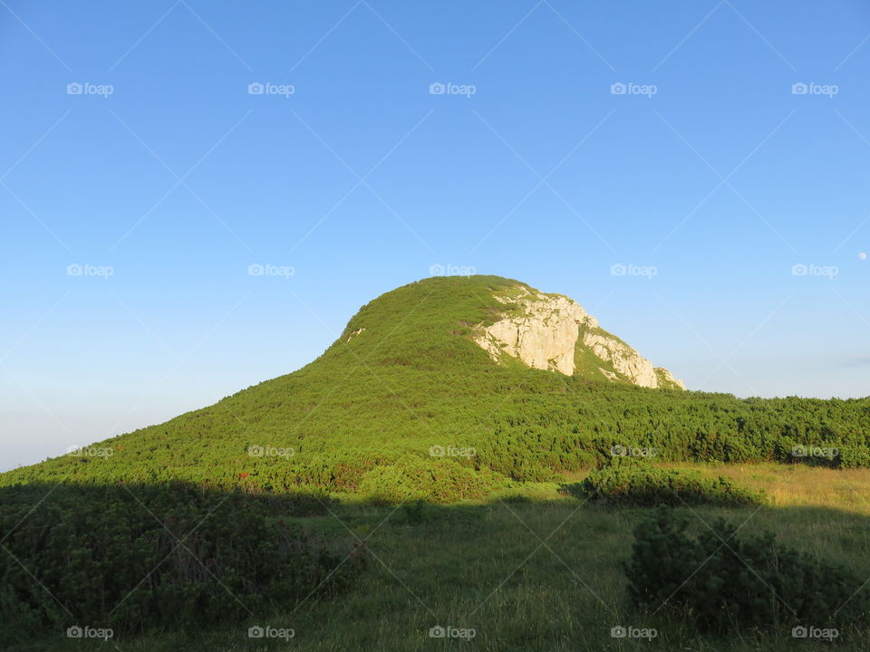 Mountain round top with forest