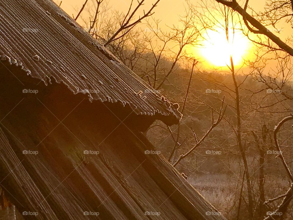 Tin roof at sunrise 