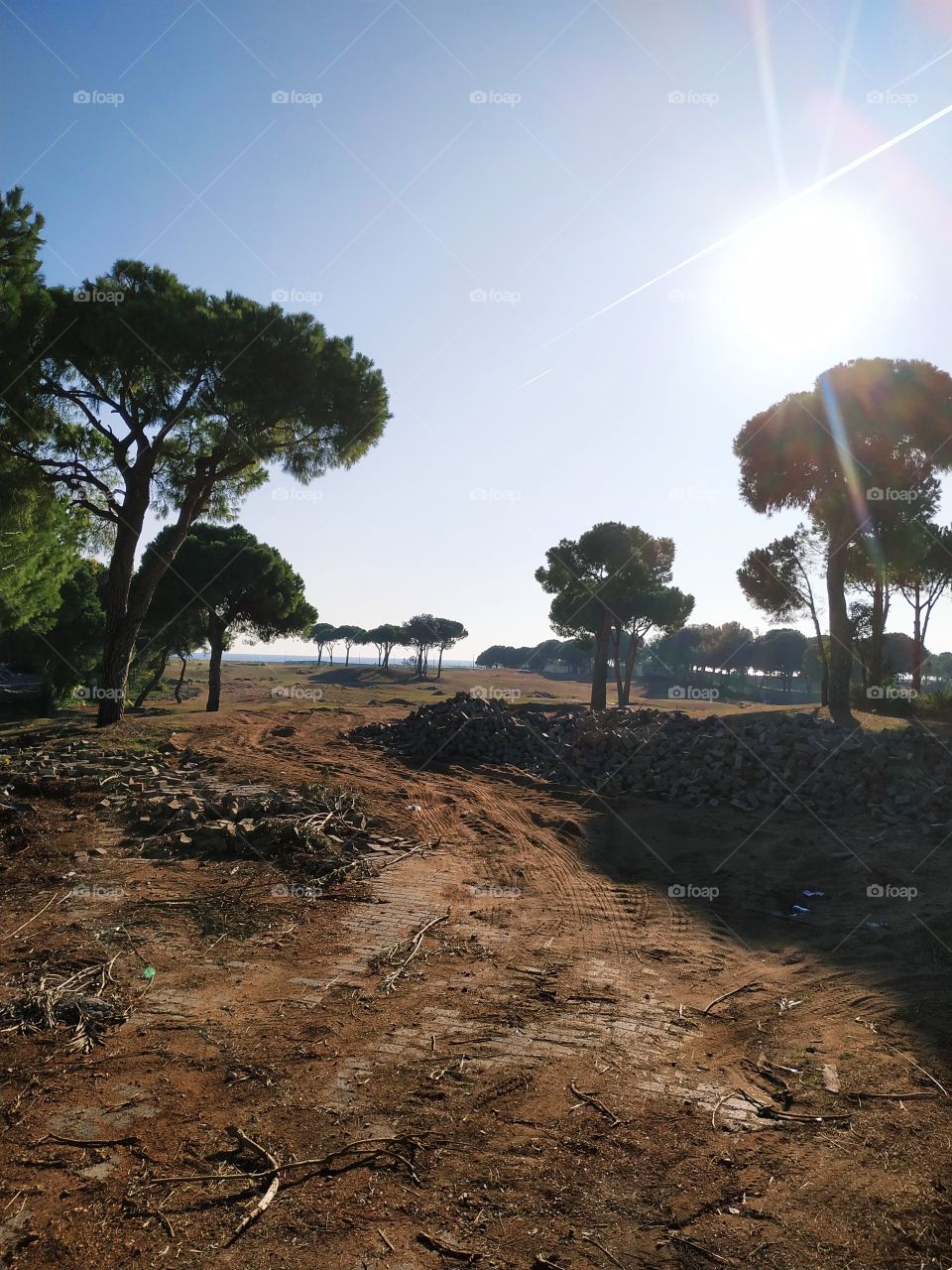 A day view of sun and sunlight above the trees on the construction site with far behind sea view