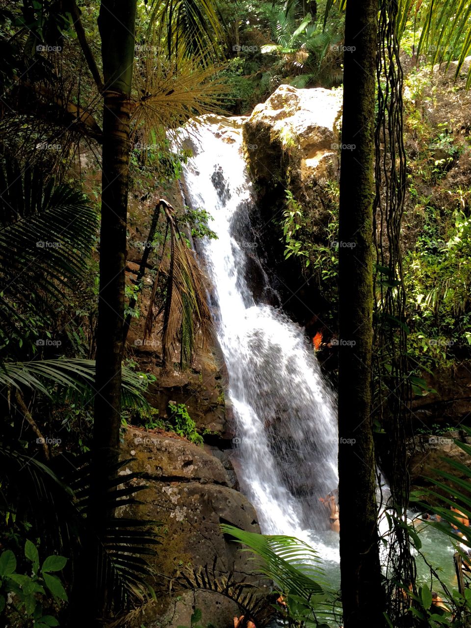 La Mina waterfall. La Mina waterfalls in the heart of El Yunque national rainforest park in Puerto Rico.