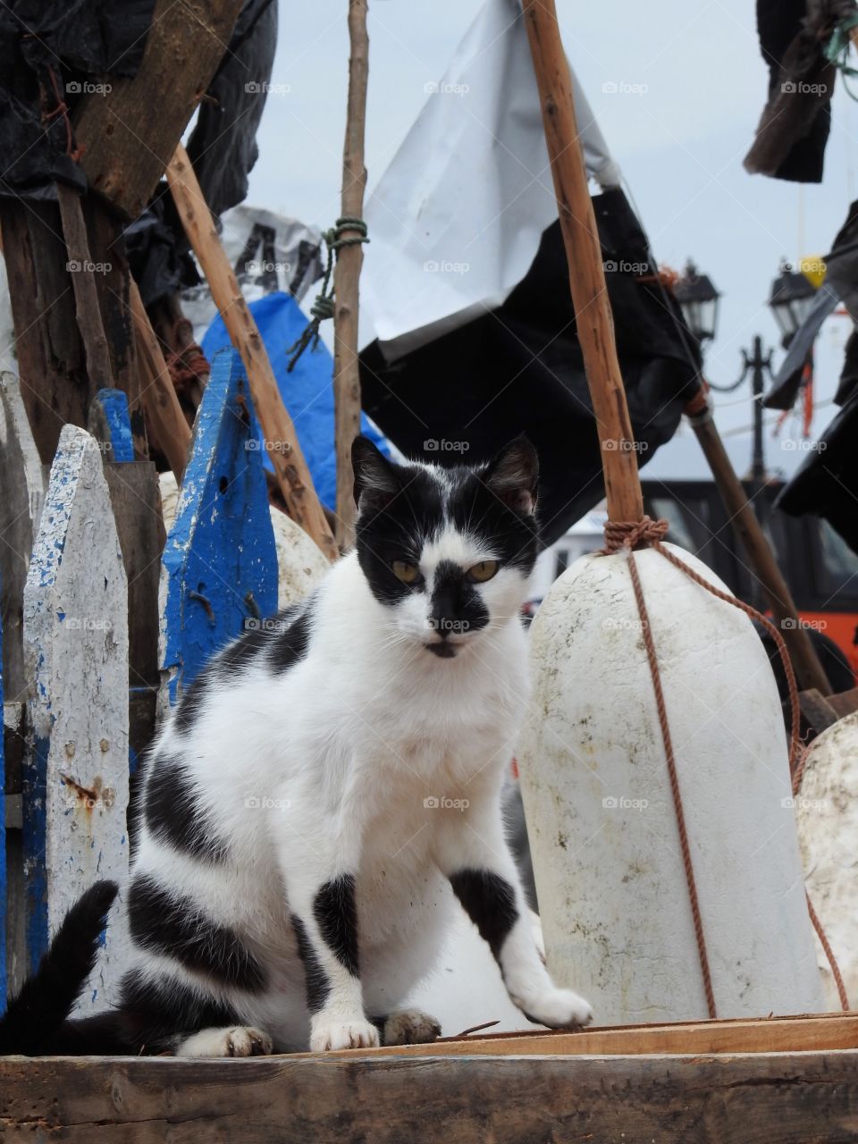 In the harbour