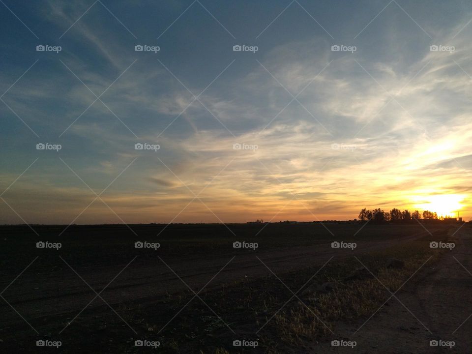 Sunlight in the country side