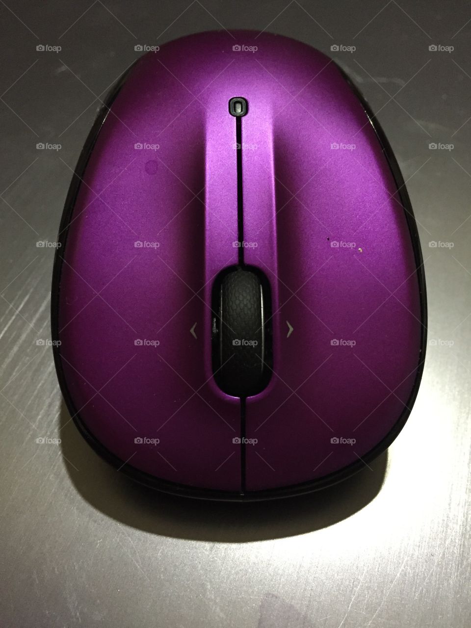 Mouse