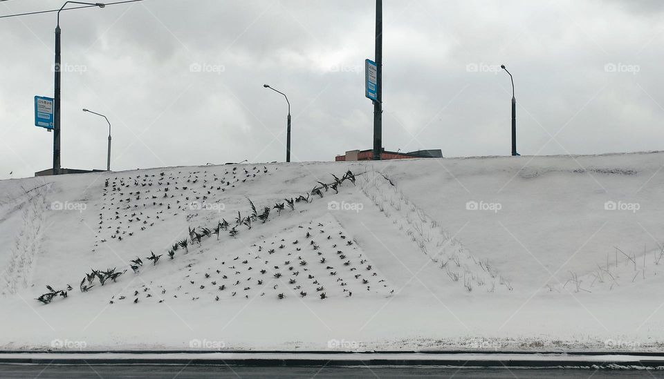 flowerbed under the snow, repeating triangles along the highway

￼

￼