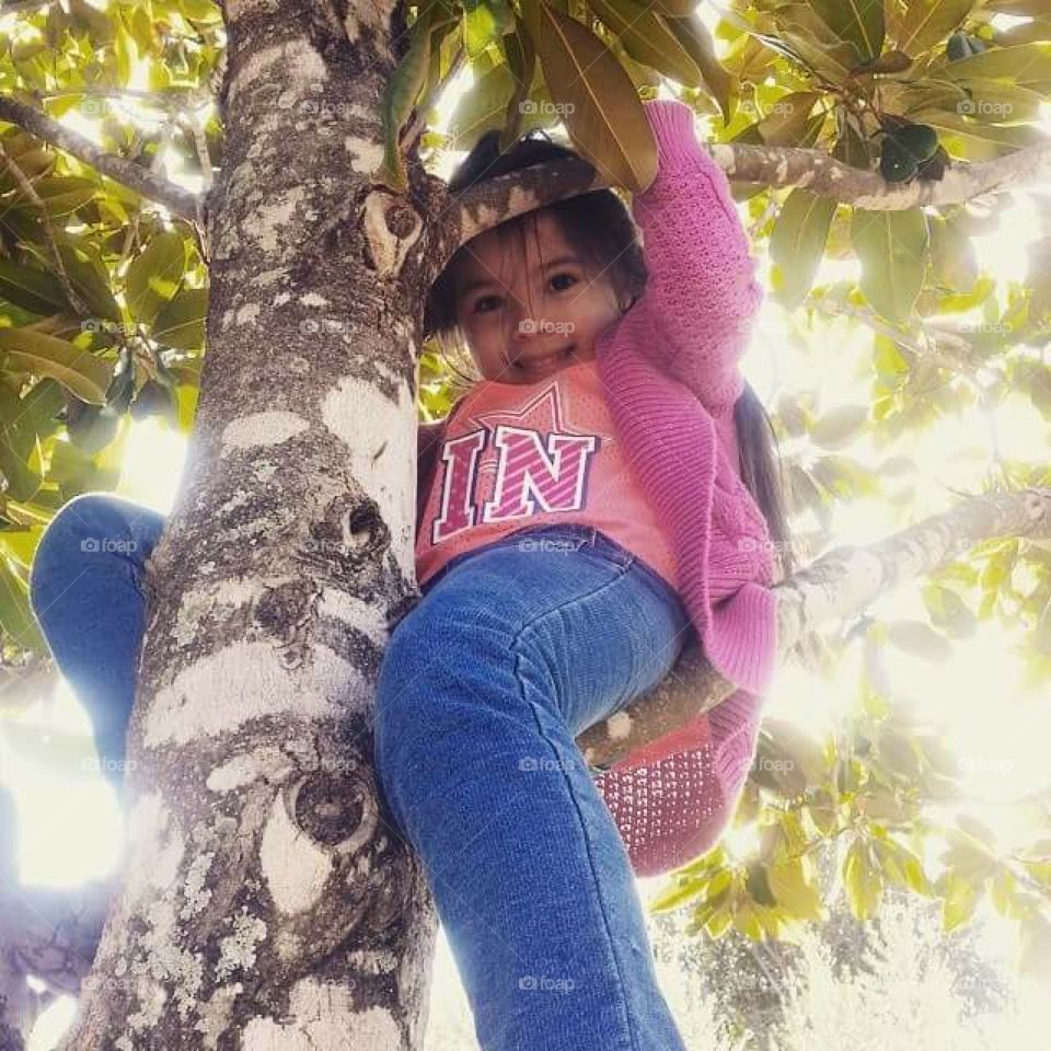 Climbing trees