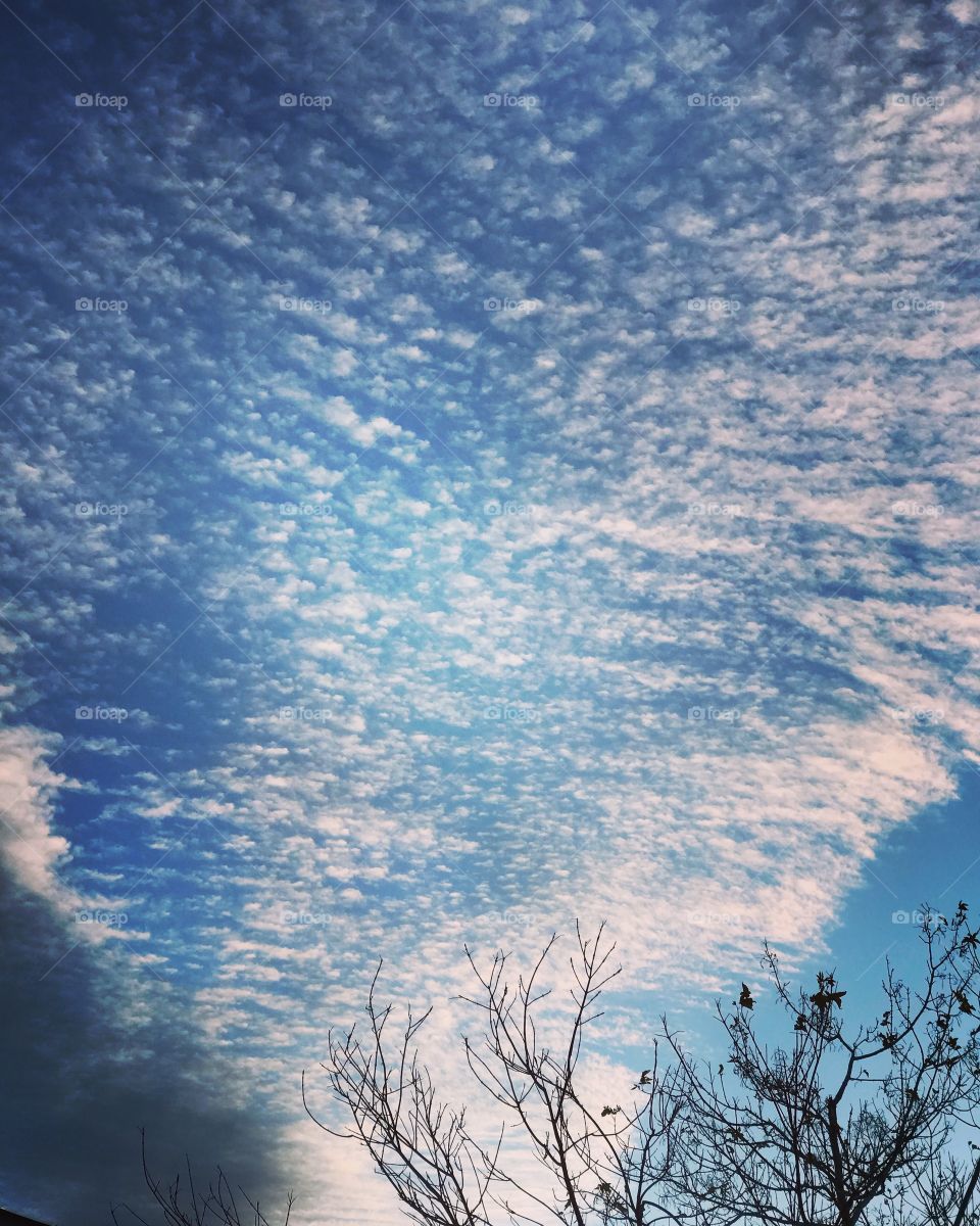 Ciel nuages couleur nature bleu 