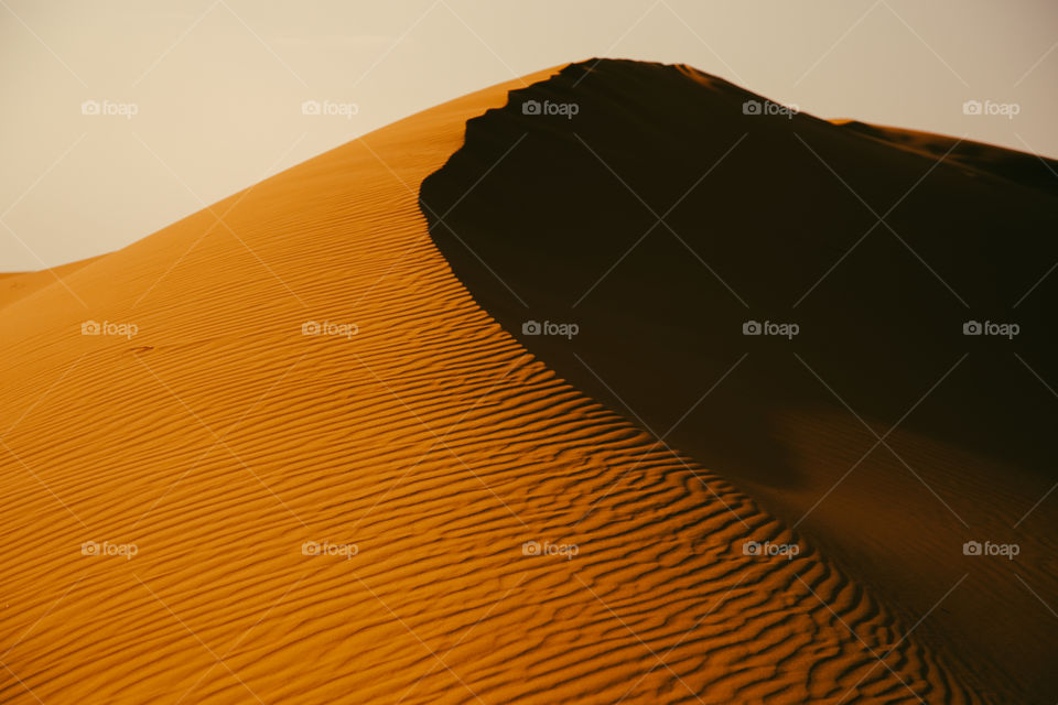 Brown and shadows - Desert