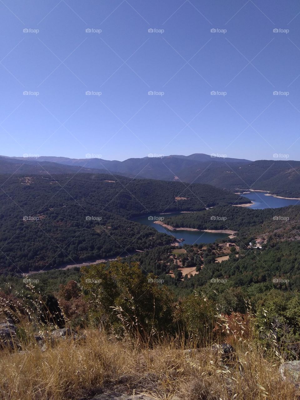 Best of 2021: Nature