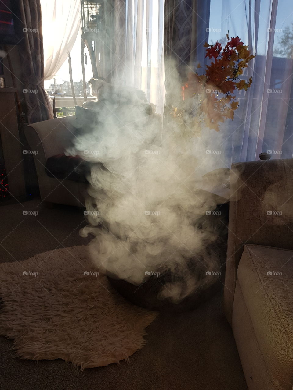 A cloud in my living room. Ghostly!