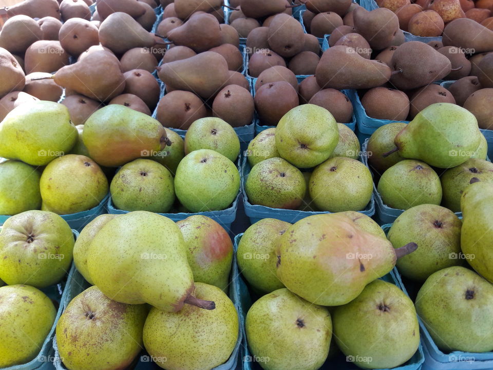 High angle view of fresh fruits