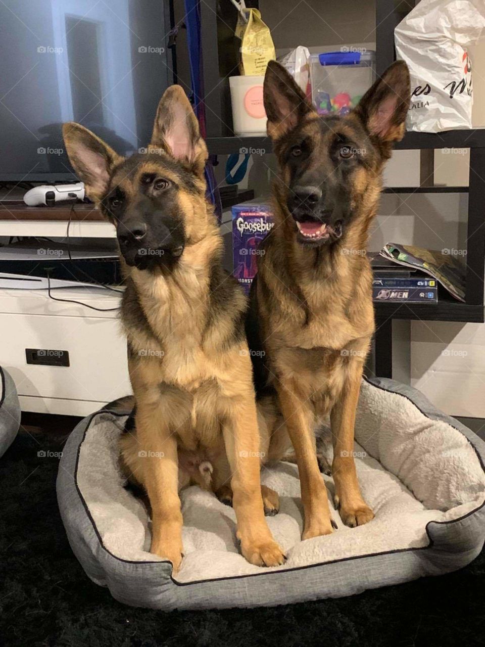 Yes Dad! what you say, is what we do!