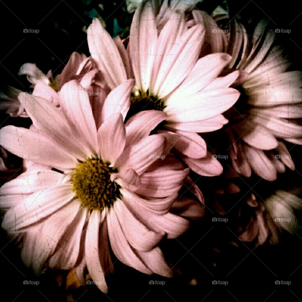 glory and grace. lighting effects