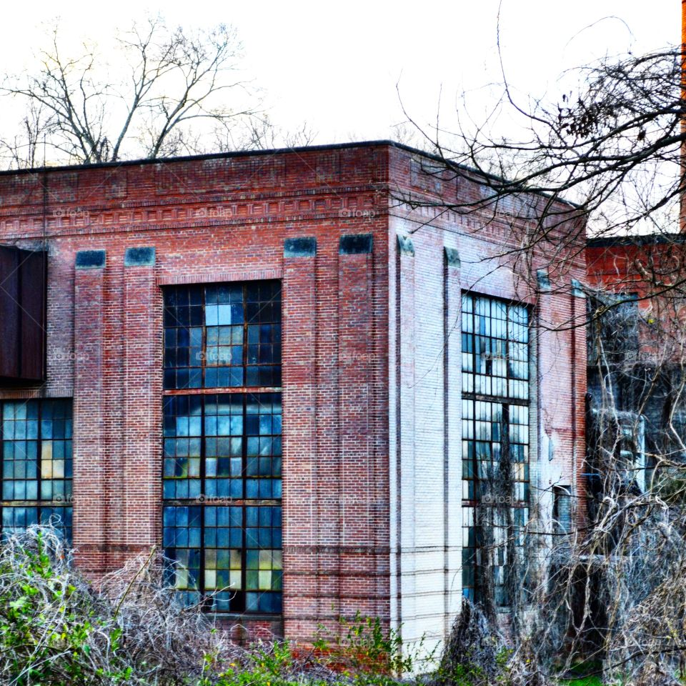 my trip to central state mental institution