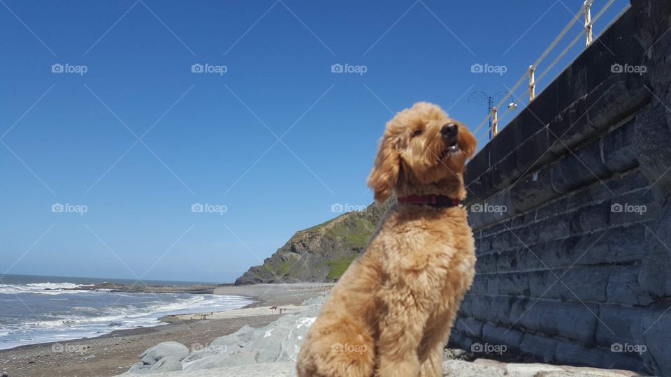 Posing at the beach