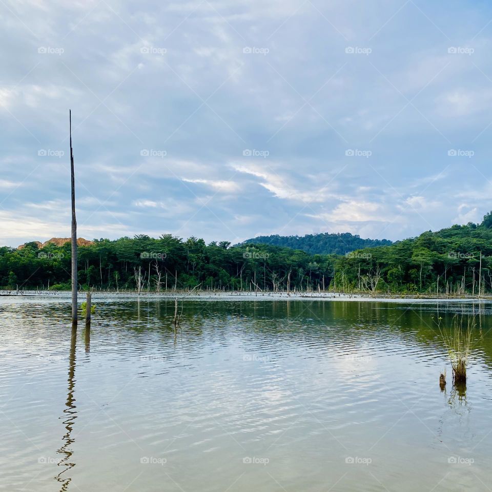 The mirror lake at community forest