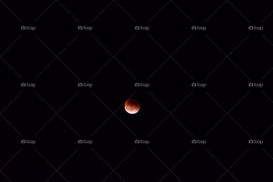 Blood Moon