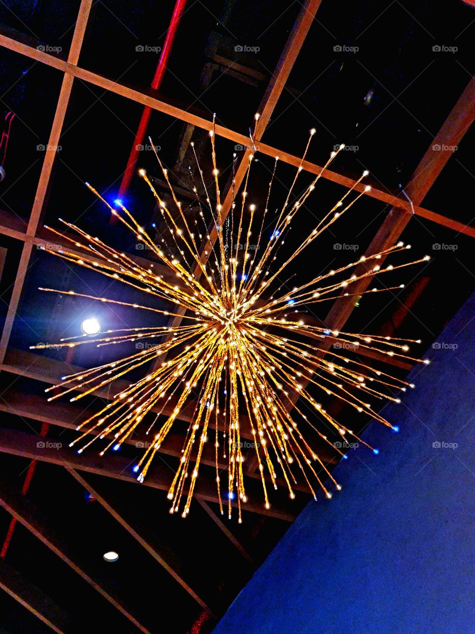 "In the right light, at the right time, everything is extraordinary."