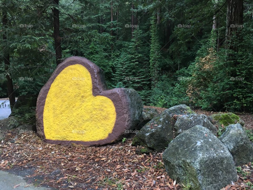Heart Rock in the Redwoods 
