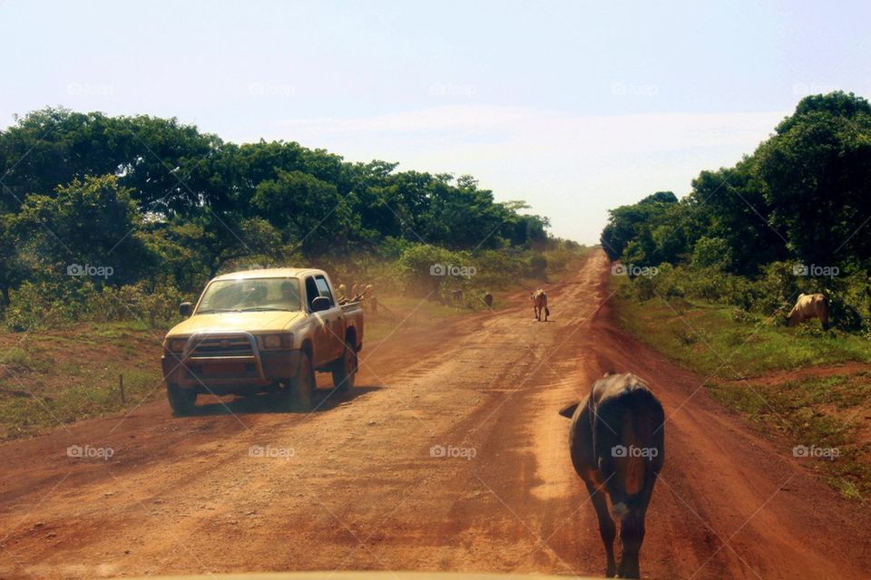 National highway, Cameroon