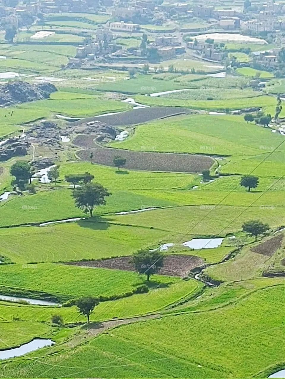 The image embodies a natural natural plate of the mountains of nature, where green agricultural stands are graded on the slopes as if they were lines of a poem, which fog harmoniously wrapped, and clouds hugged them in the mountain knife and the whis