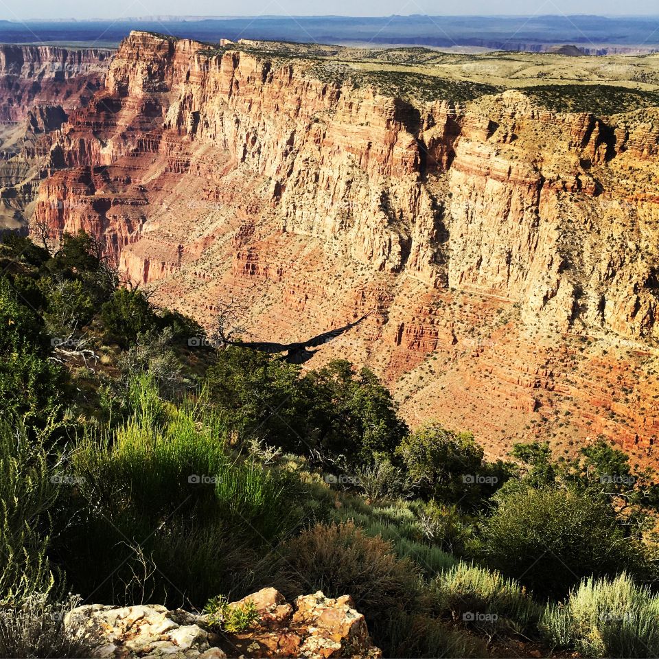 Grand Canyon 