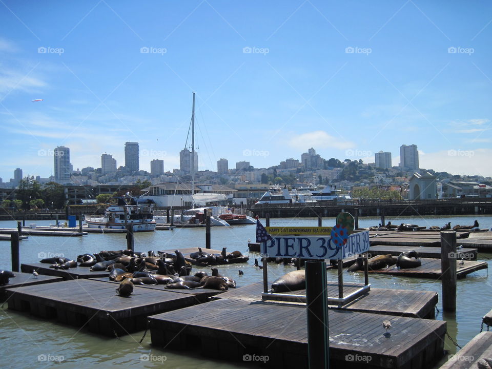 Water, No Person, City, Travel, Architecture