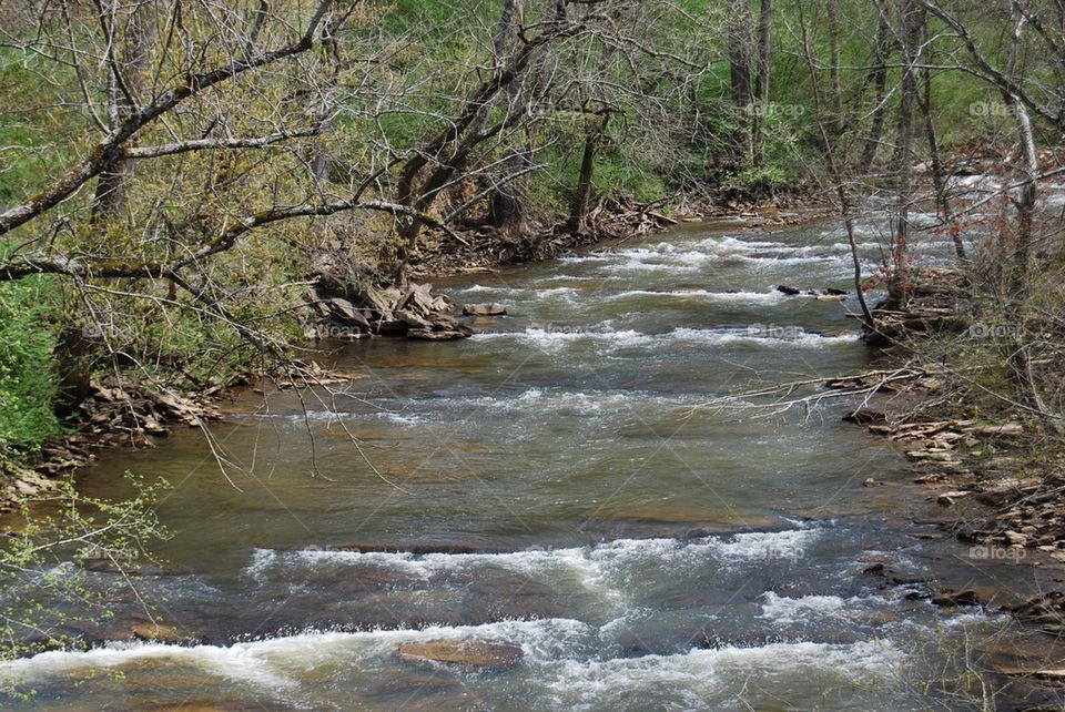 Scenics view of river at chattahoochee