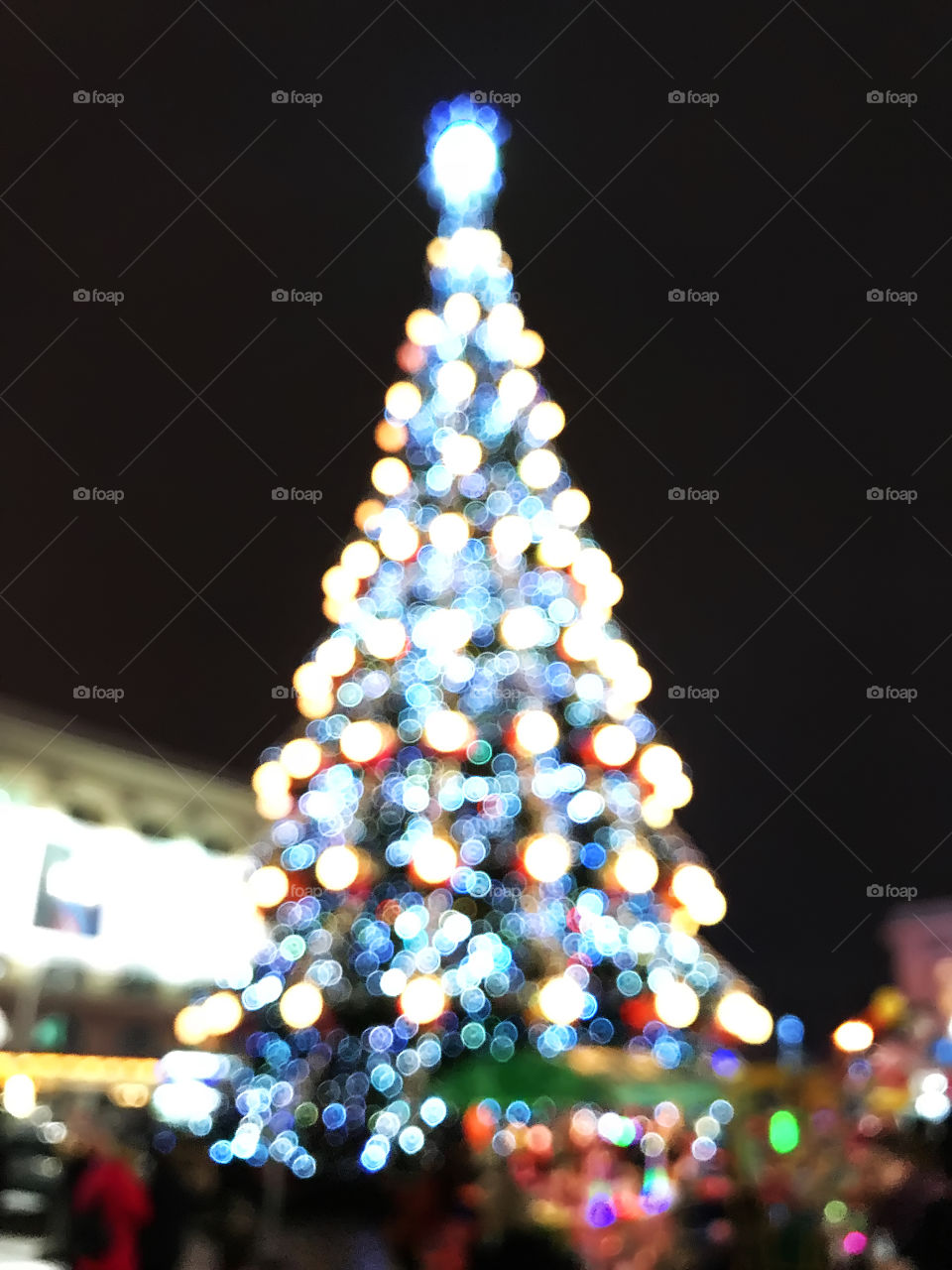 Fir tree bokeh 