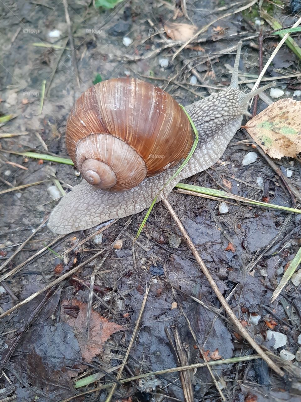 У  меня   всё  над  собой!