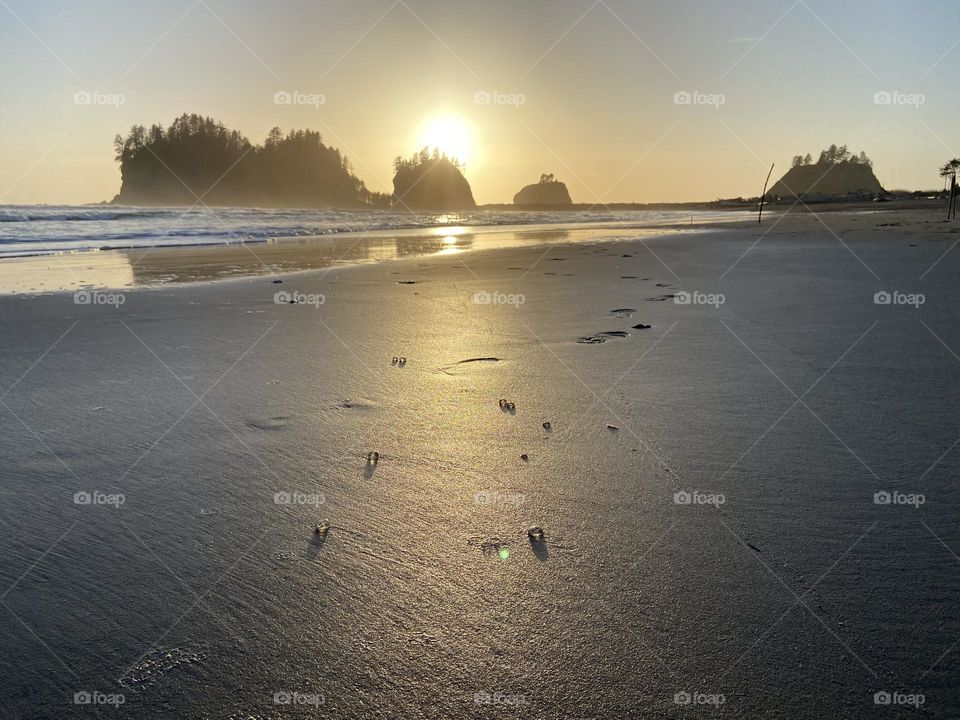 Jellyfish pearls and footprints at sunset